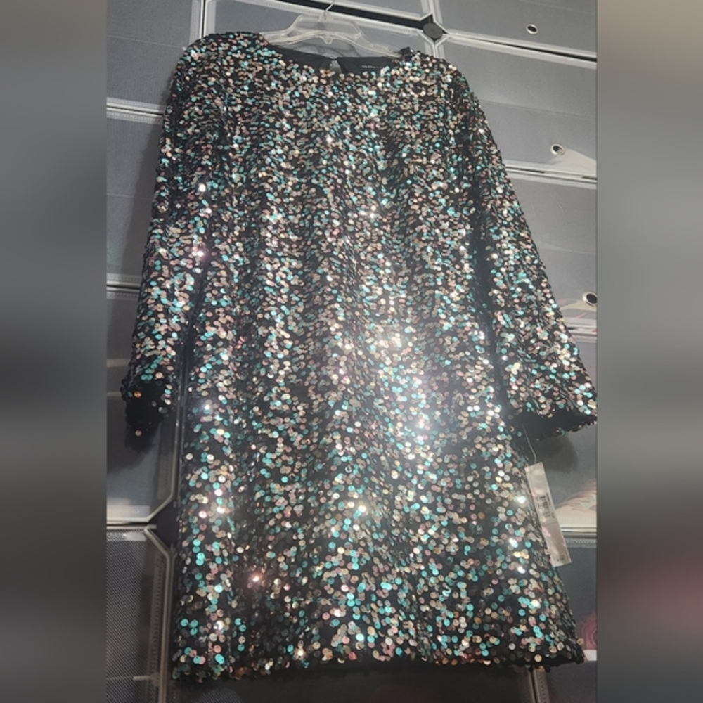 Clover And Sloane Long Sleeve Sequin Shift Dress